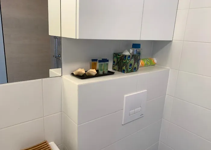 Vultor Apartamento Breslavia